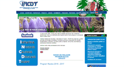 Desktop Screenshot of incdt.ro